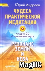 Книга Чудеса практической медитации. Андреев Ю.А.